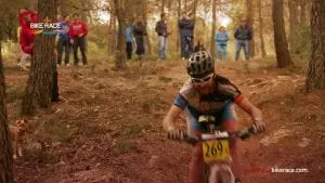Vídeo Promocional De La #andalucía #bike Race Presented By #shimano 2017