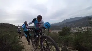 Ataque De Abejas A Ciclistas ﻿